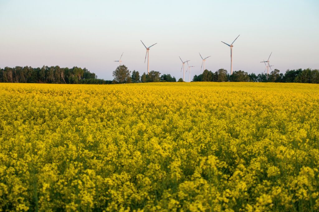 Bike tour in Brandenburg, Germany