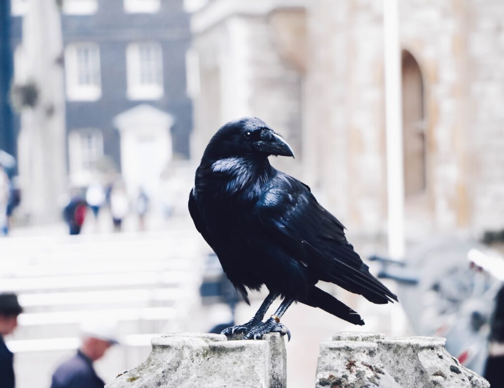 Tower of London