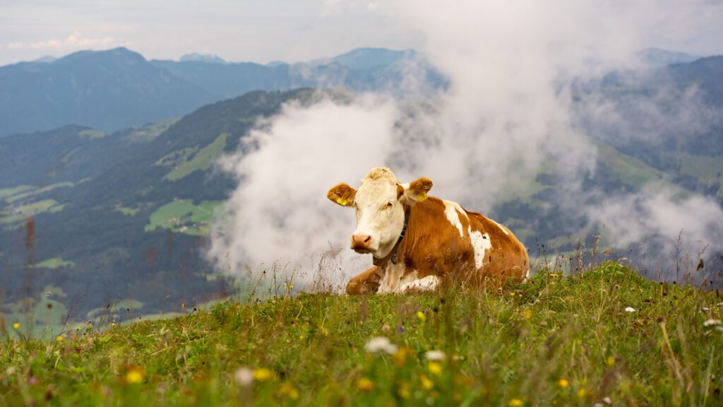 Austrian mountains