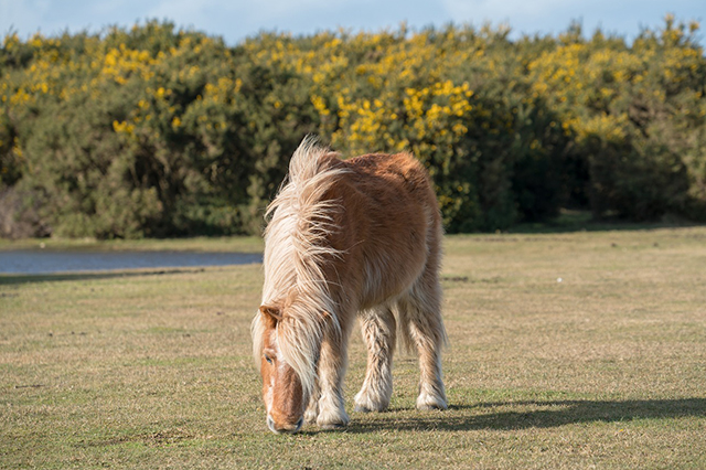 5 Blissful Beaches Near Southampton | Leonardo Hotels