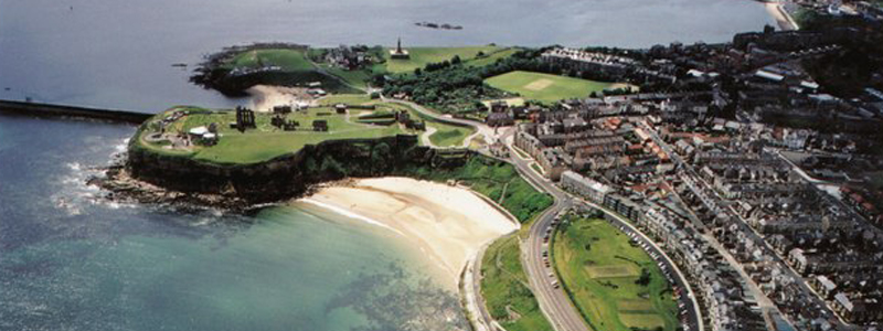 Beaches near Newcastle