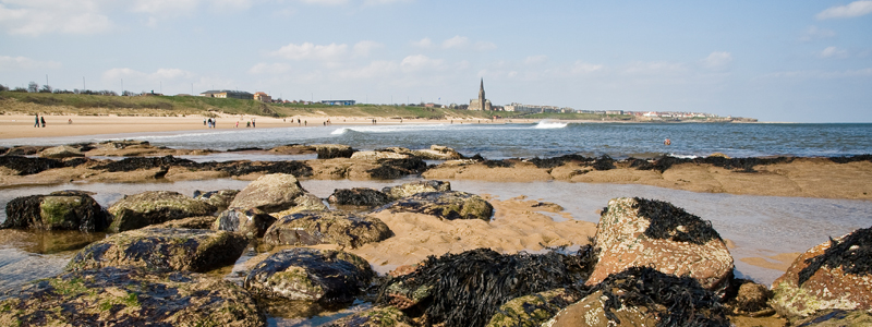 Beaches near Newcastle