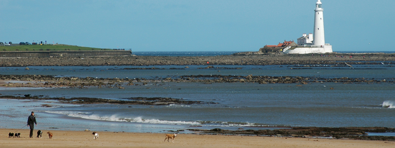 Beaches near Newcastle