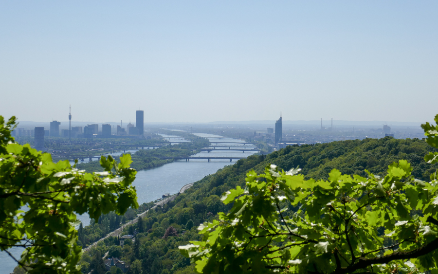 Kahlenberg, Vienna