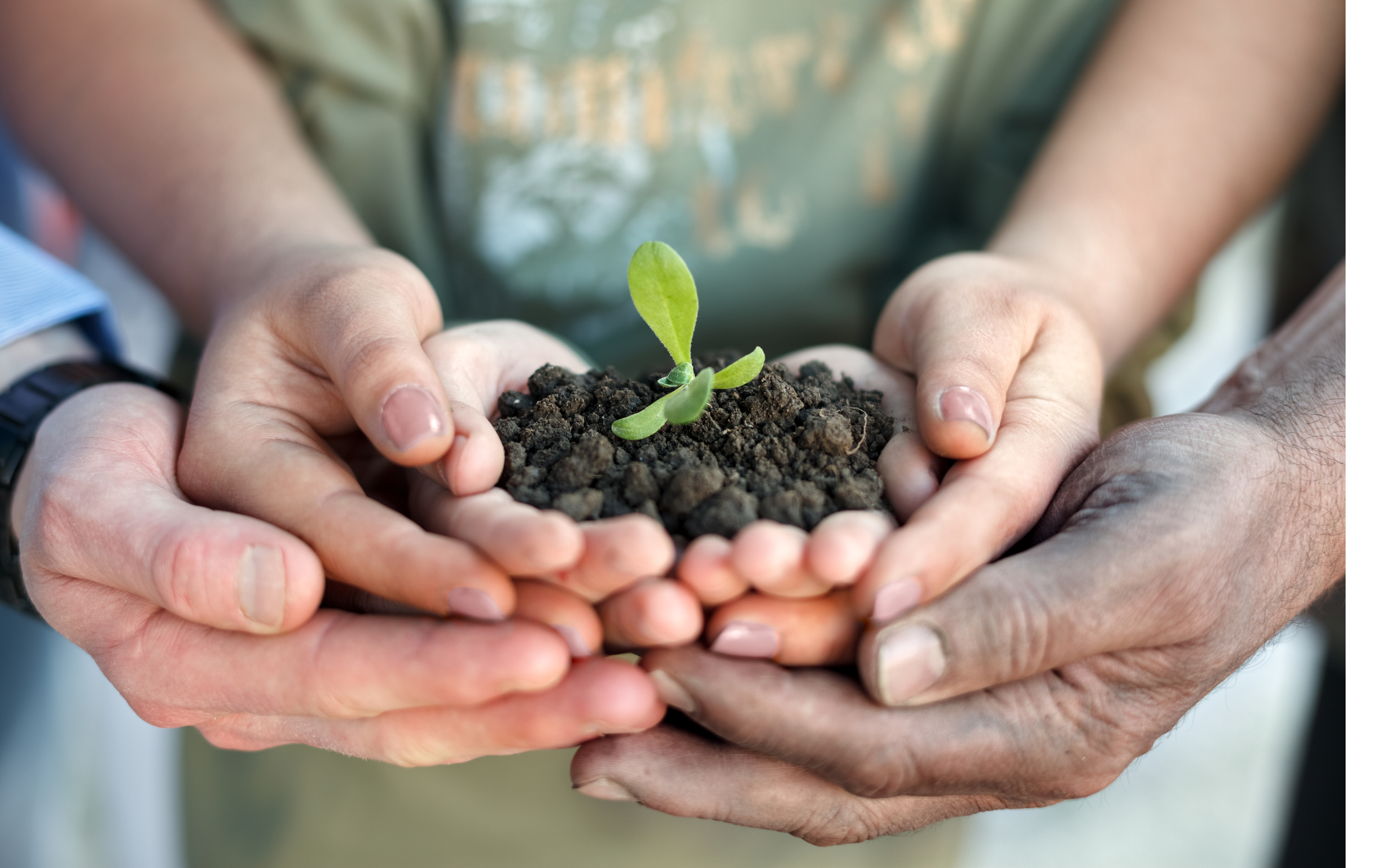 Comment rendre votre prochain voyage d'affaires plus durable