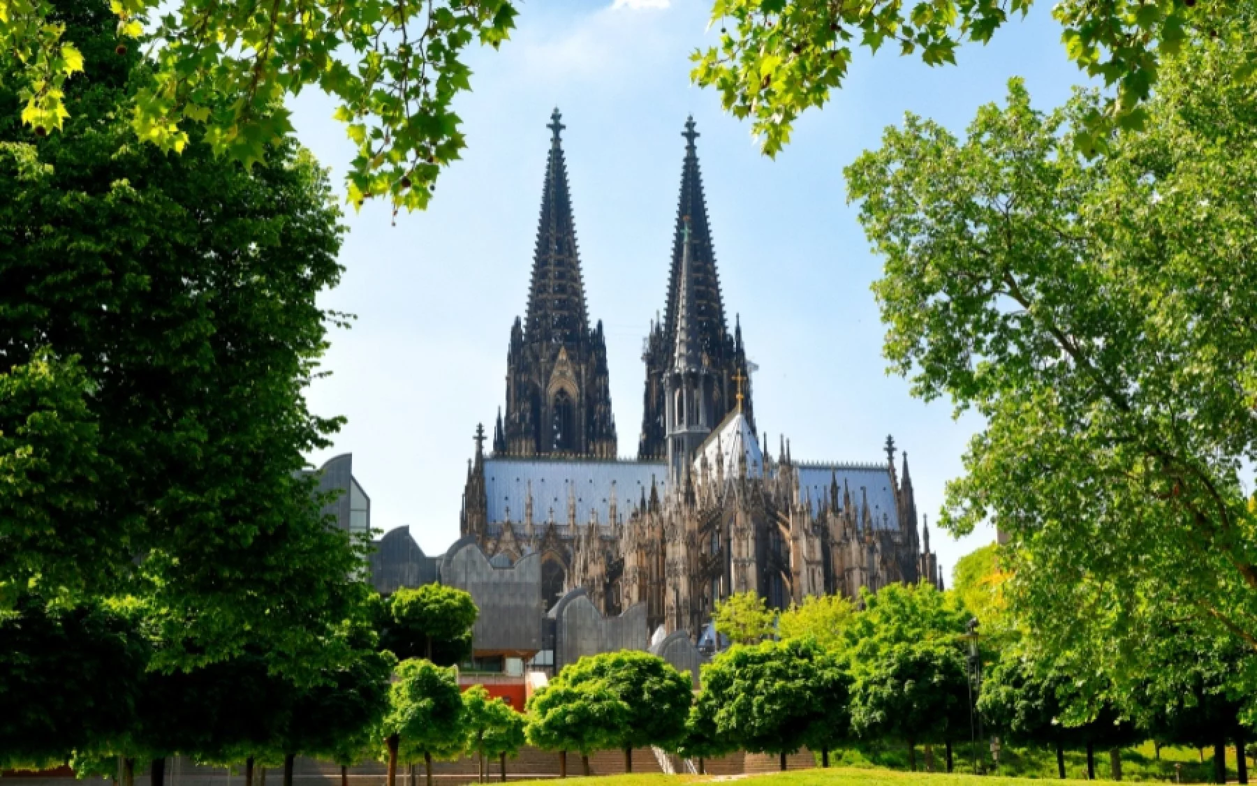 Cologne Cathedral in spring