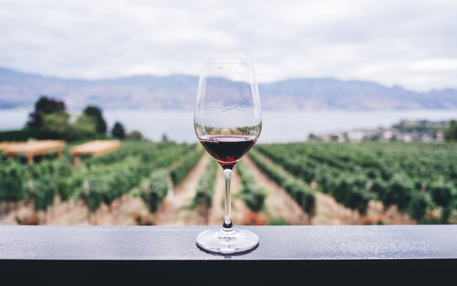Mainz is the perfect base for exploring the vineyards in the Rhine Valley