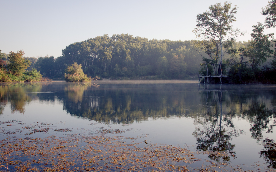 Lobau Natural Reserve, Vienna, Austria