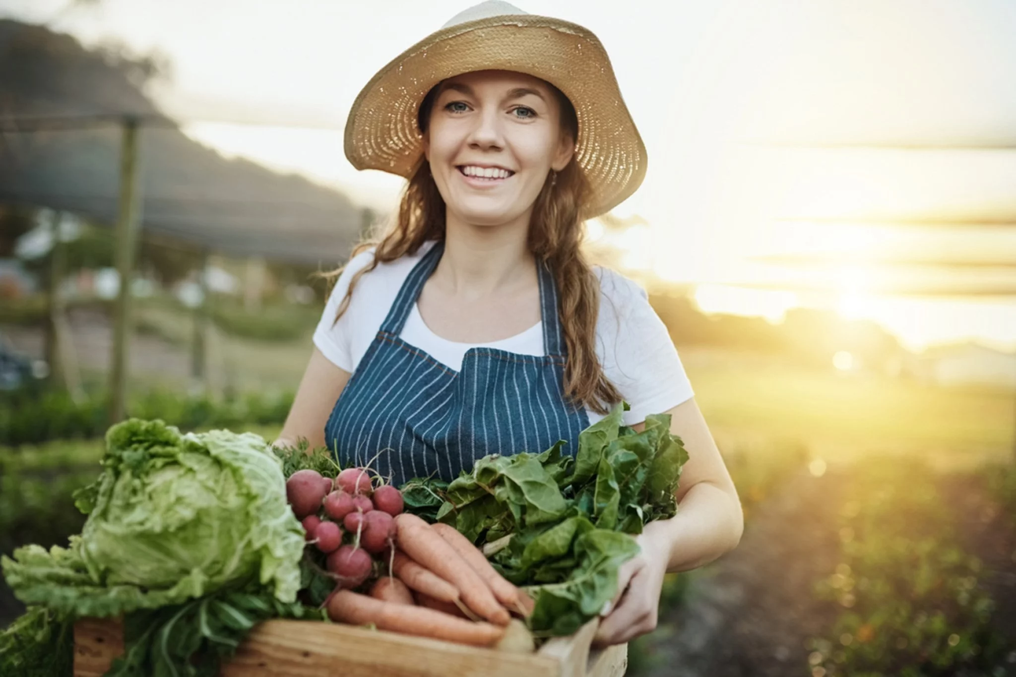 SDG 12: Nachhaltige/r Konsum und Produktion